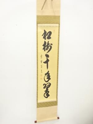 前大徳　藤田寛道筆　「松樹千年翠」　一行書　紙本肉筆掛軸